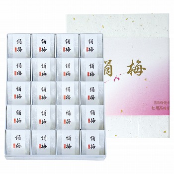 썂~˔_ IBcʉ ЂƎ̌~20 (OK-E20)